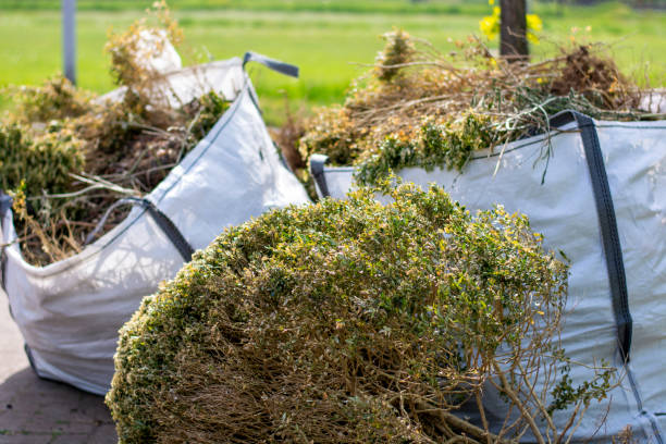 Best Same-Day Junk Removal Services  in Arapahoe, WY
